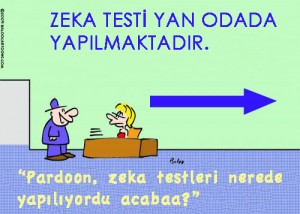 Türkçe Zeka Testleri